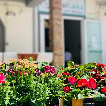Hotell Laika Rimini