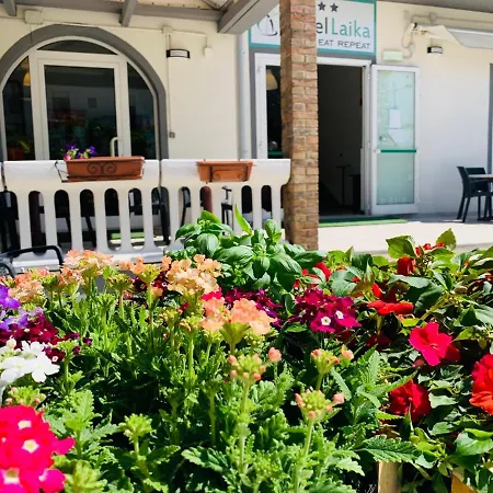 Hotell Laika Rimini