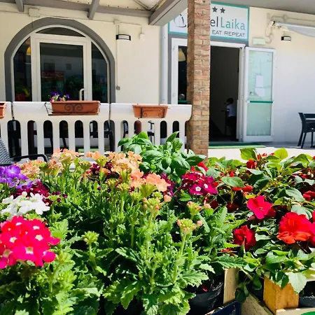 酒店 莱卡酒店 里米尼