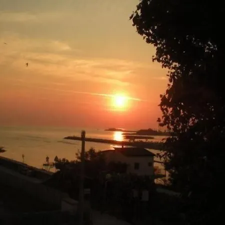 酒店 莱卡酒店 里米尼